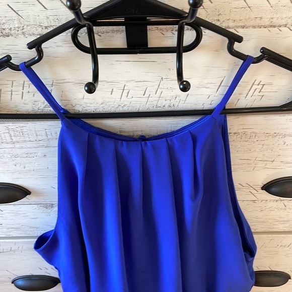 Francesca’s Blue Dress - Picture 2 of 6